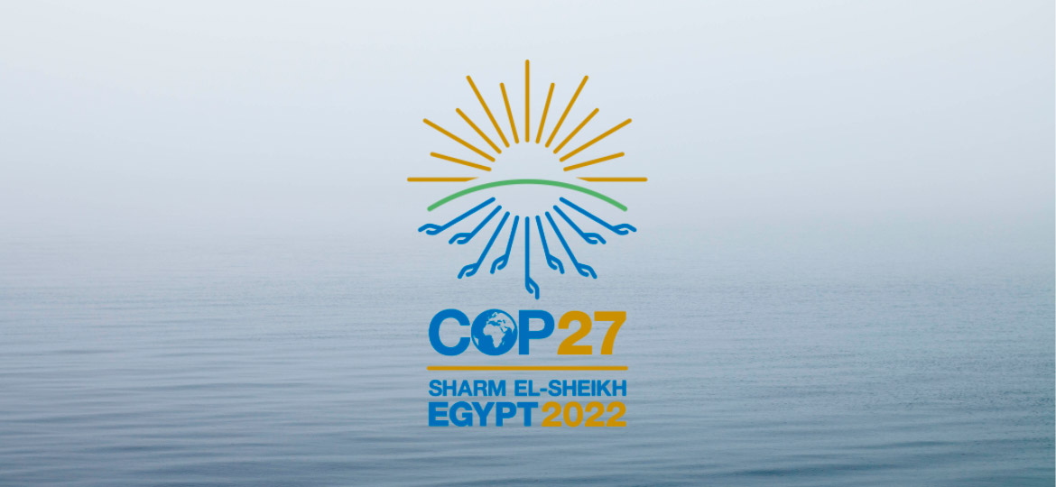 COP 27 and Water