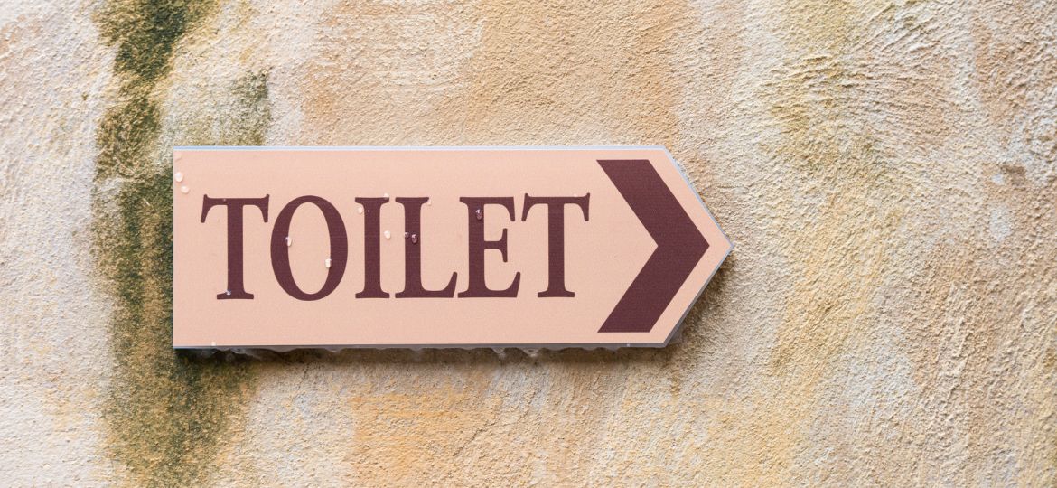 Cabecera World Toilet Day