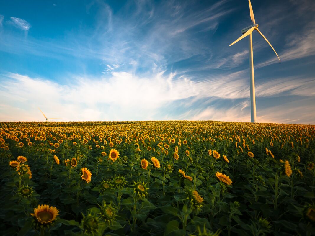 Beneficios Energ As Renovables