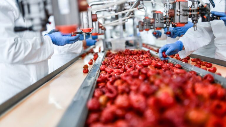 CABECERA BLOG From ingredient to infrastructure